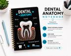 The Dental Desk Box