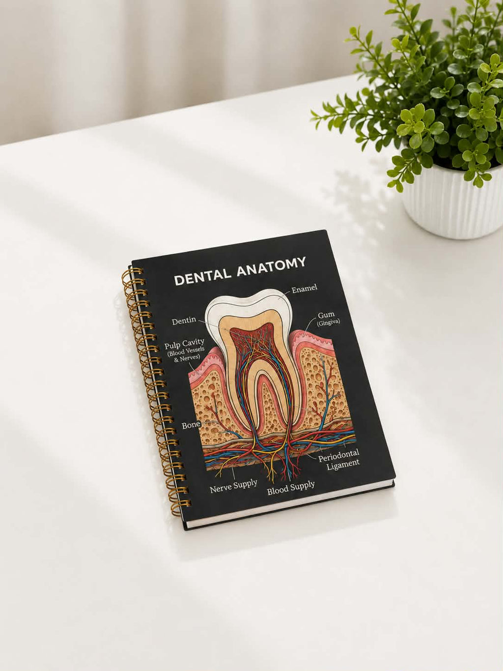 dental notbook