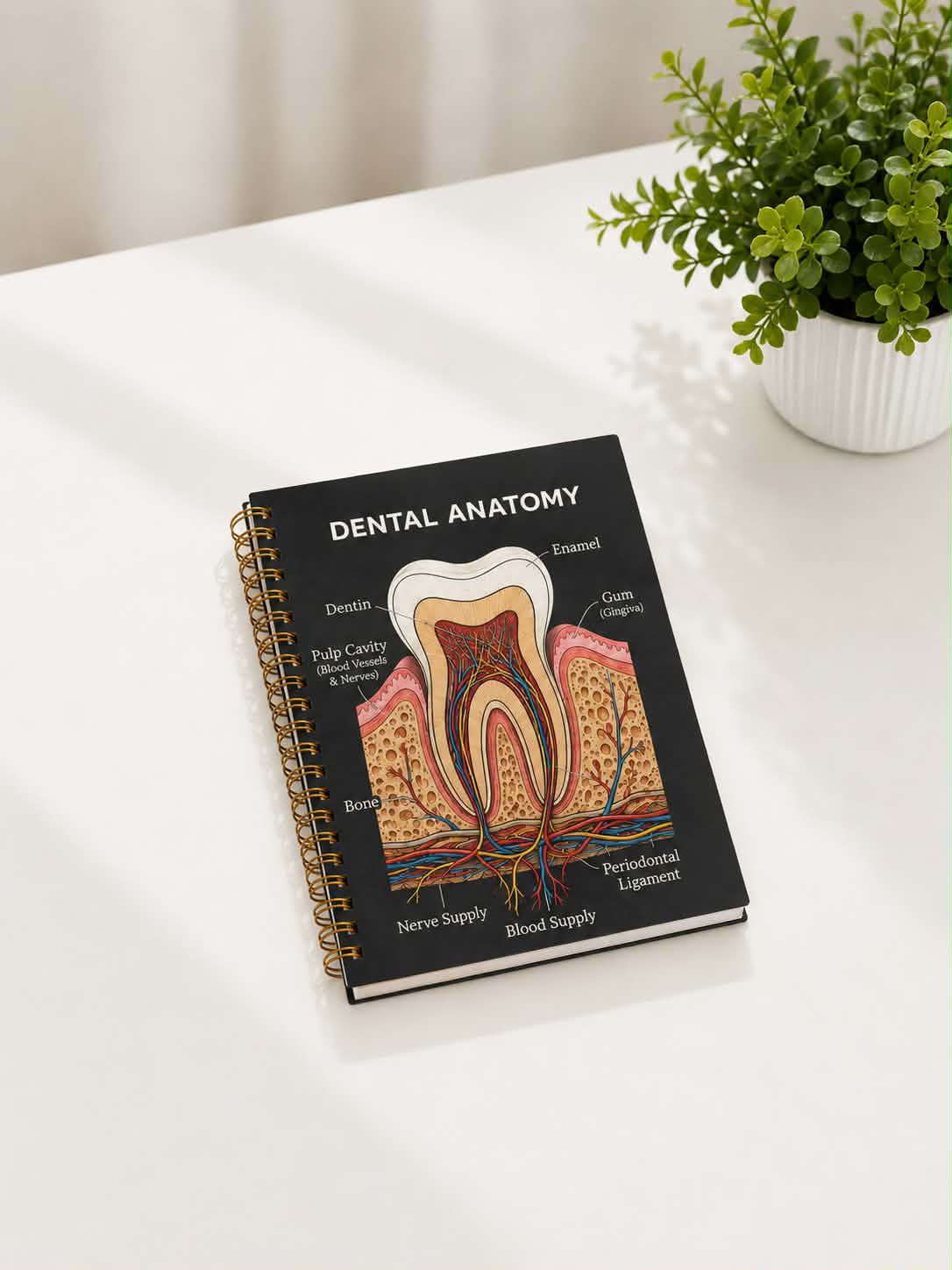 dental notbook